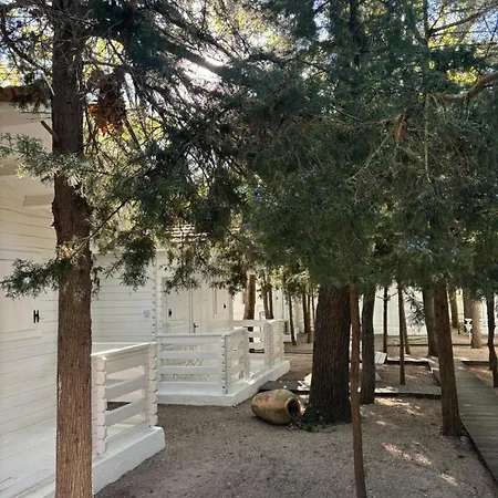 호텔 Casa De Mare