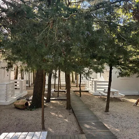 Casa De Mare * Olimp